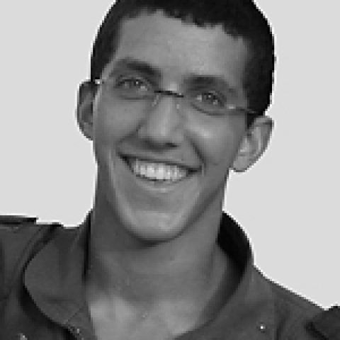 כרמי אילן