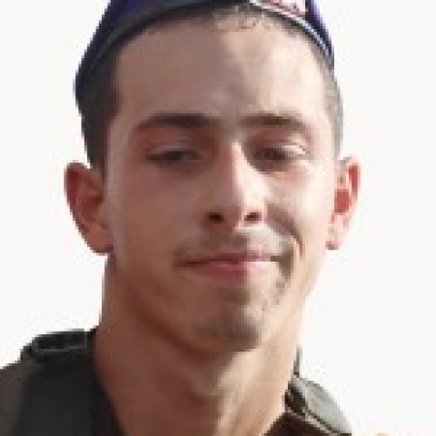 אורי ג'רבי