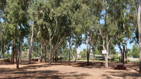 מרים ויוסף דוברובין