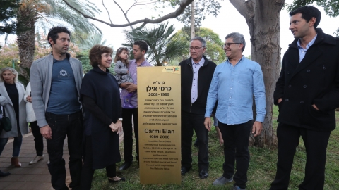 כרמי אילן