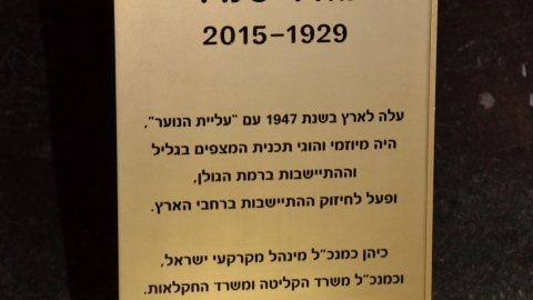 מאיר שמיר