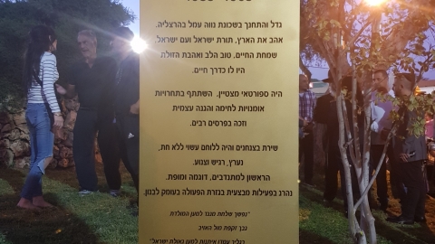 מעוז נגר