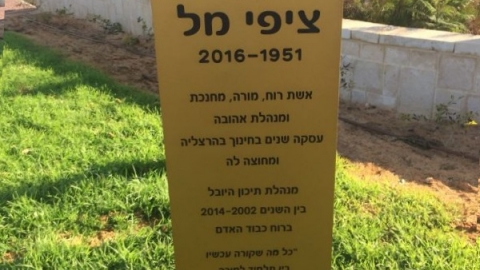 ציפי מל