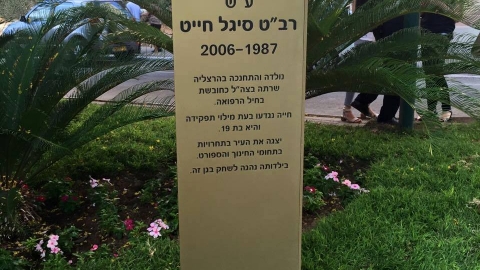 סיגל חייט
