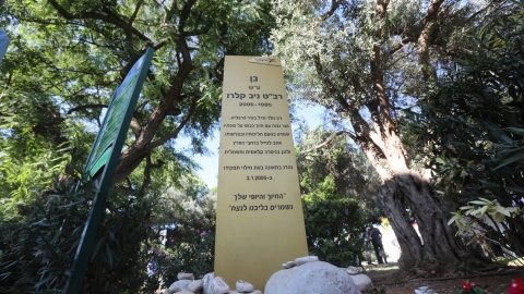 ניב קלרו
