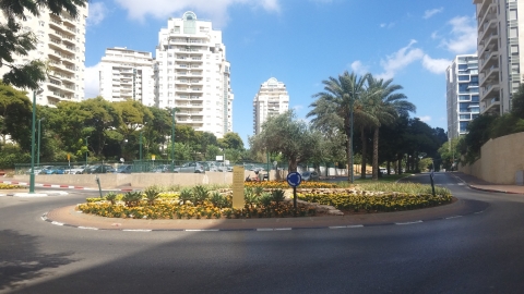 זאב בוים
