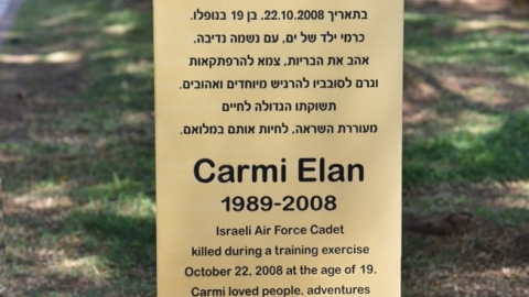 כרמי אילן