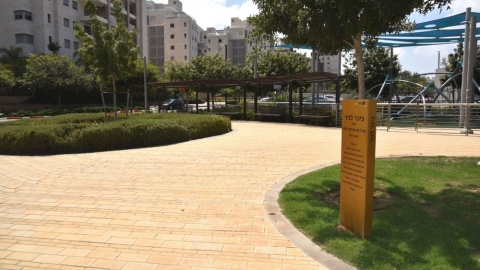 אברהם (אבי) לניר