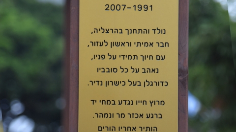 רז רזיאל חג'ג'