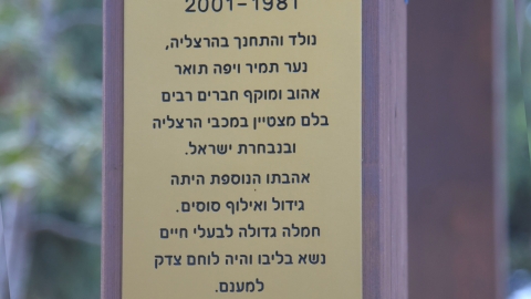 רן ברוך