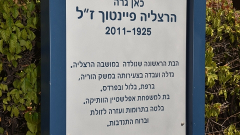 הרצליה פיינטוך