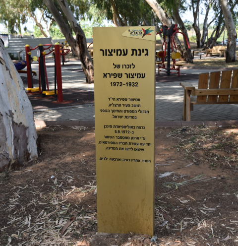 עמיצור שפירא