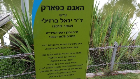 יגאל ברזילי
