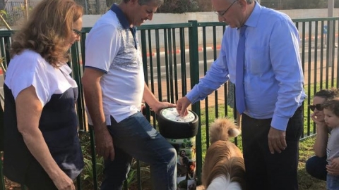 גילי שקד פורז