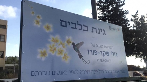 גילי שקד פורז