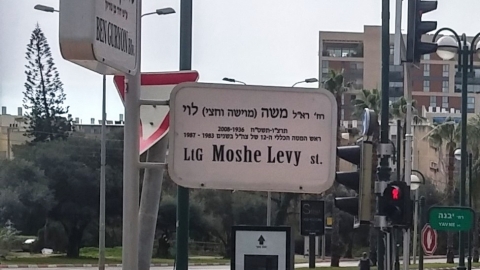 משה לוי