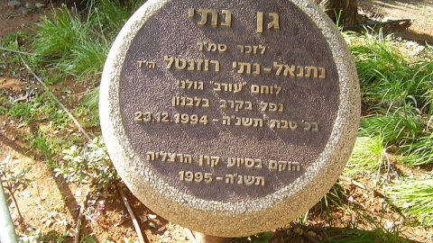 נתנאל (נתי) רוזנטל