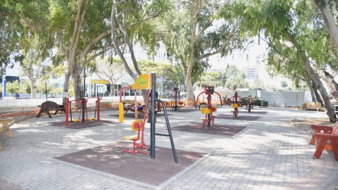 עמיצור שפירא