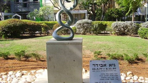 גיא אבידר שחר
