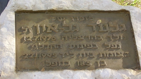 גלעד גלאון
