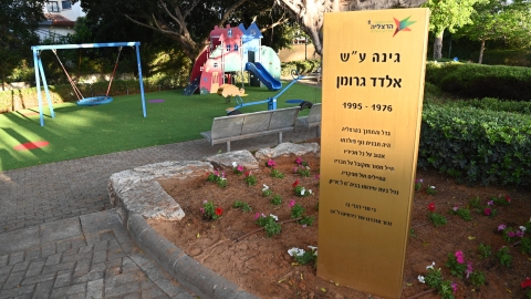 אלדד גרומן