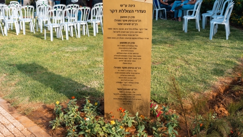 רן שמעון