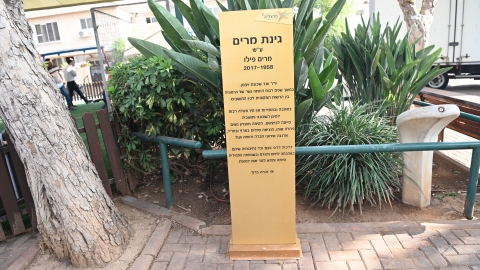 מרים פילו